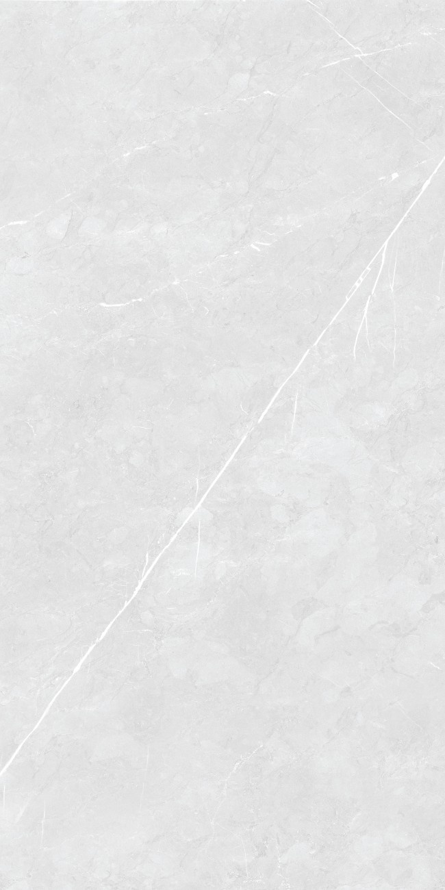 FOSSILBIANCO