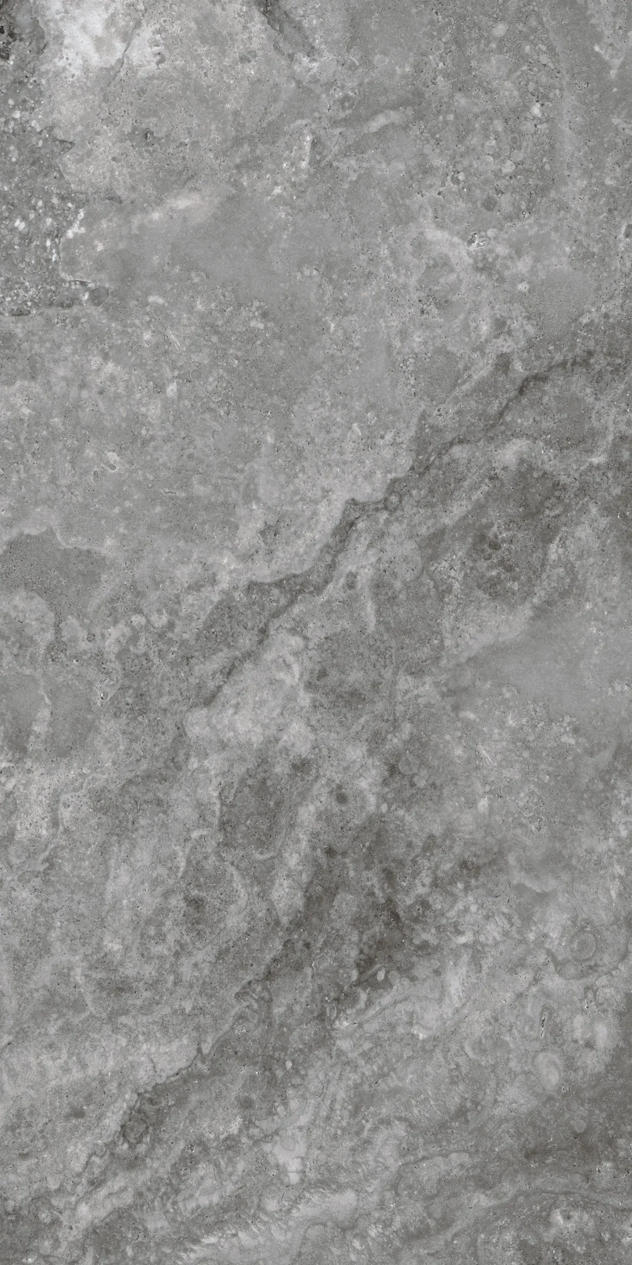 PALERMO CHARCOAL