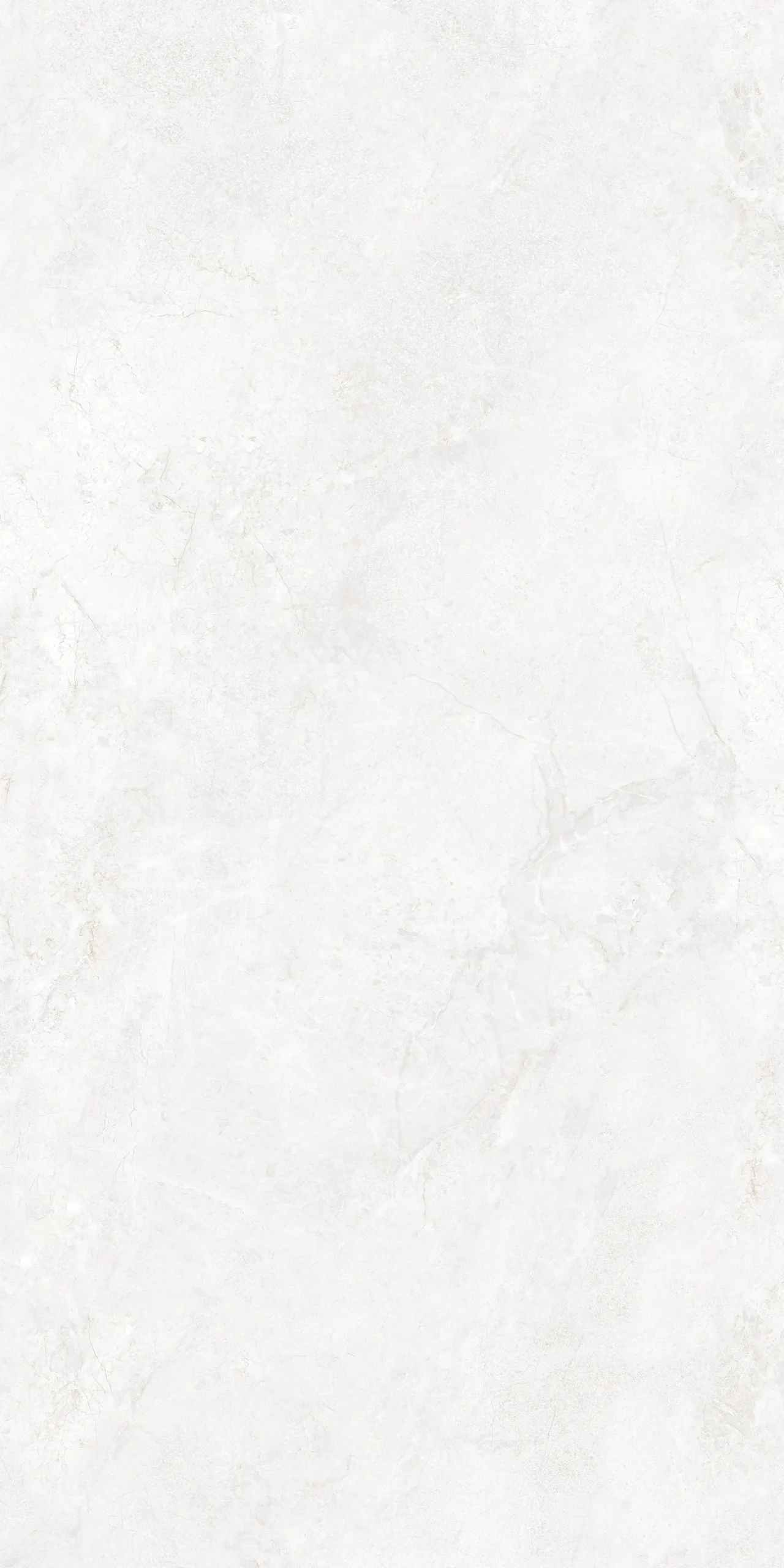 RAIZER SILVER